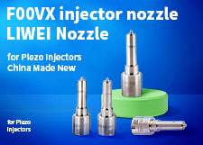 Common Rail 0445110 Liwei Injector Nozzles